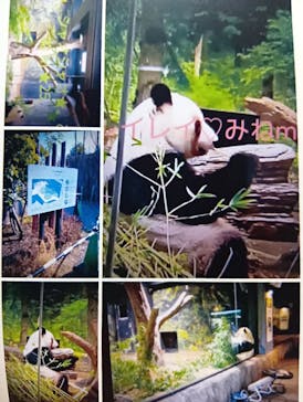 恩賜上野動物園に投稿された画像（2026/1/25）