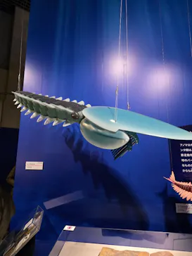 特別展「大絶滅展―生命史のビッグファイブ」に投稿された画像（2026/1/25）