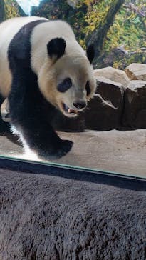 恩賜上野動物園に投稿された画像（2026/1/25）