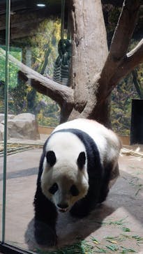 恩賜上野動物園に投稿された画像（2026/1/25）