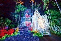 美らヤシパークオキナワ・東南植物楽園に投稿された画像（2026/1/25）