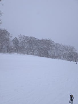 グランデコ・スノーリゾートに投稿された画像（2026/1/25）