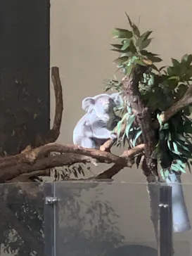 多摩動物公園に投稿された画像（2026/1/25）