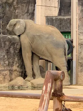 多摩動物公園に投稿された画像（2026/1/25）