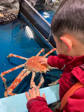 竹島水族館に投稿された画像（2026/1/25）