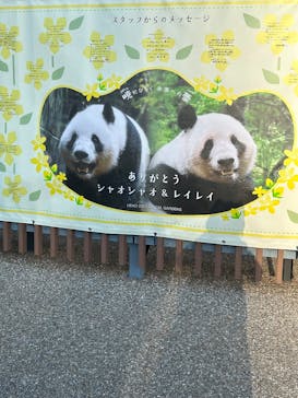 恩賜上野動物園に投稿された画像（2026/1/25）
