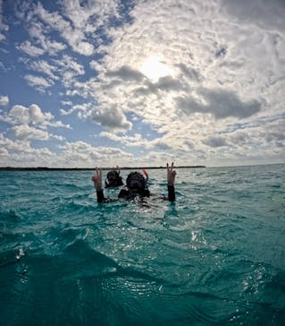 石垣島 ADVENTURE PiPi（イシガキジマアドベンチャーピピ）に投稿された画像（2026/1/25）