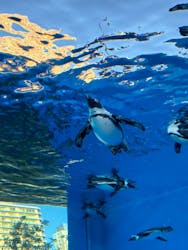 サンシャイン水族館に投稿された画像（2026/1/25）
