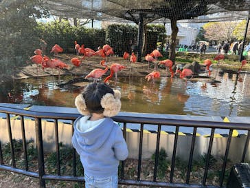 恩賜上野動物園に投稿された画像（2026/1/25）