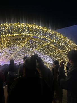 東京メガイルミに投稿された画像（2026/1/25）