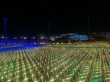 東京メガイルミに投稿された画像（2026/1/25）