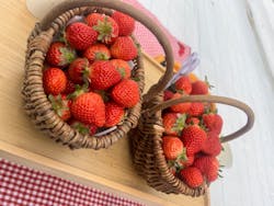 スカイフローラファームに投稿された画像（2026/1/25）