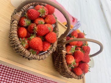 スカイフローラファームに投稿された画像（2026/1/25）