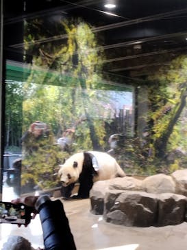 恩賜上野動物園に投稿された画像（2026/1/25）