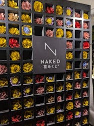 NAKED meets 二条城 2025 観月に投稿された画像（2026/1/25）