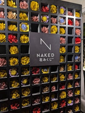 NAKED meets 二条城 2025 観月に投稿された画像（2026/1/25）