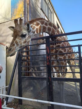 宇都宮動物園に投稿された画像（2026/1/25）