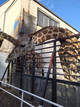 宇都宮動物園に投稿された画像（2026/1/25）