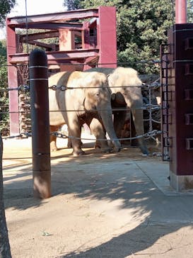 恩賜上野動物園に投稿された画像（2026/1/25）