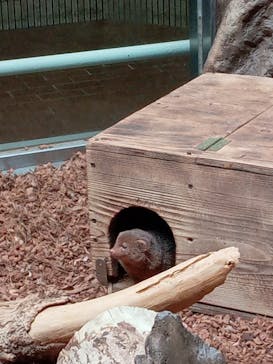 恩賜上野動物園に投稿された画像（2026/1/25）
