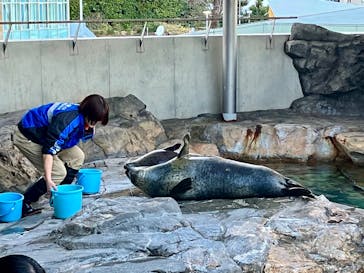 しながわ水族館に投稿された画像（2026/1/25）