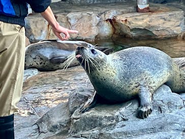 しながわ水族館に投稿された画像（2026/1/25）