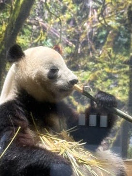 恩賜上野動物園に投稿された画像（2026/1/25）