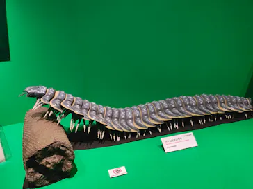 特別展「大絶滅展―生命史のビッグファイブ」に投稿された画像（2026/1/25）