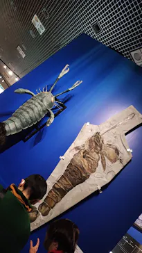 特別展「大絶滅展―生命史のビッグファイブ」に投稿された画像（2026/1/25）