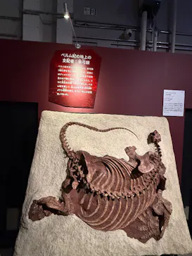特別展「大絶滅展―生命史のビッグファイブ」に投稿された画像（2026/1/25）