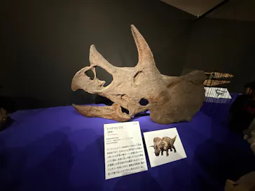 特別展「大絶滅展―生命史のビッグファイブ」に投稿された画像（2026/1/25）