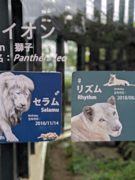 沖縄こどもの国に投稿された画像（2026/1/25）