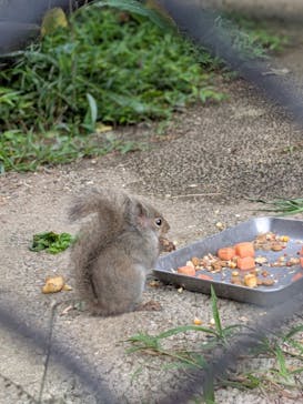 沖縄こどもの国に投稿された画像（2026/1/25）