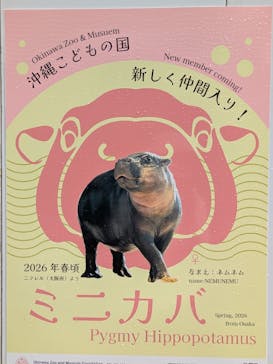 沖縄こどもの国に投稿された画像（2026/1/25）