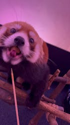 横浜・八景島シーパラダイスに投稿された画像（2026/1/25）