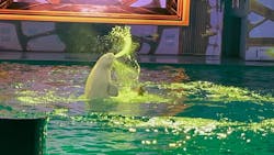 横浜・八景島シーパラダイスに投稿された画像（2026/1/25）