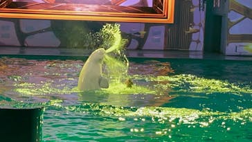 横浜・八景島シーパラダイスに投稿された画像（2026/1/25）