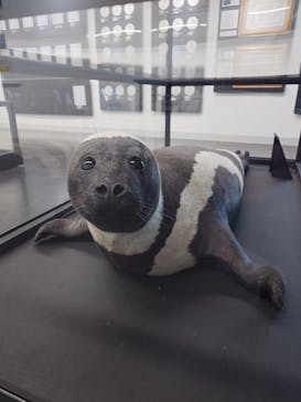 環境水族館アクアマリンふくしまに投稿された画像（2026/1/25）