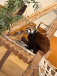 日立市かみね動物園に投稿された画像（2026/1/25）
