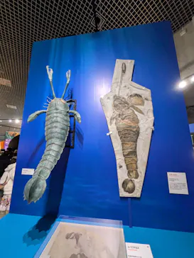 特別展「大絶滅展―生命史のビッグファイブ」に投稿された画像（2026/1/25）