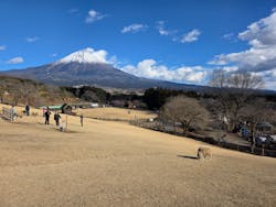 まかいの牧場に投稿された画像（2026/1/25）