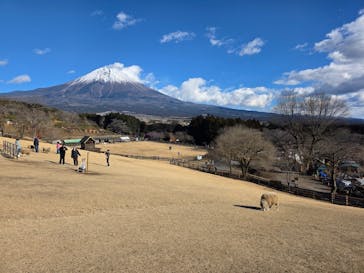 まかいの牧場に投稿された画像（2026/1/25）