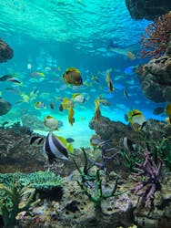 サンシャイン水族館に投稿された画像（2026/1/25）