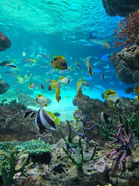 サンシャイン水族館に投稿された画像（2026/1/25）