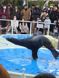 サンシャイン水族館に投稿された画像（2026/1/25）