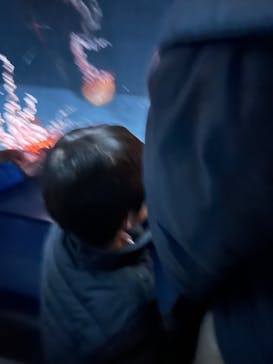 京都水族館に投稿された画像（2026/1/25）