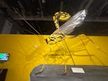 特別展「昆虫MANIAC」（名古屋会場）に投稿された画像（2026/1/25）