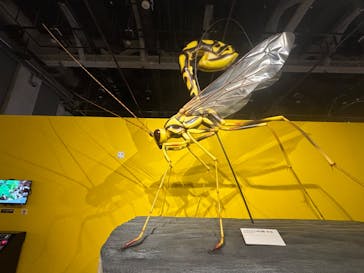 特別展「昆虫MANIAC」（名古屋会場）に投稿された画像（2026/1/25）