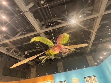 特別展「昆虫MANIAC」（名古屋会場）に投稿された画像（2026/1/25）