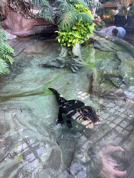 恩賜上野動物園に投稿された画像（2026/1/25）